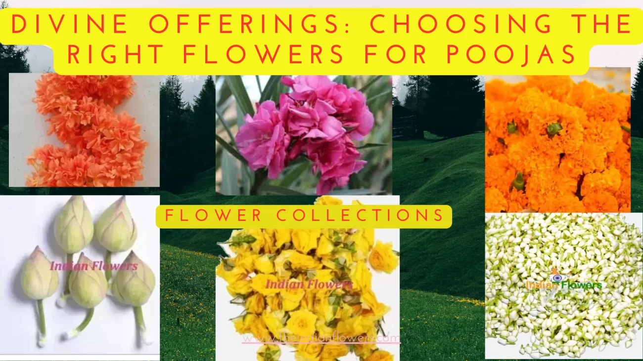 Flowers for poojas