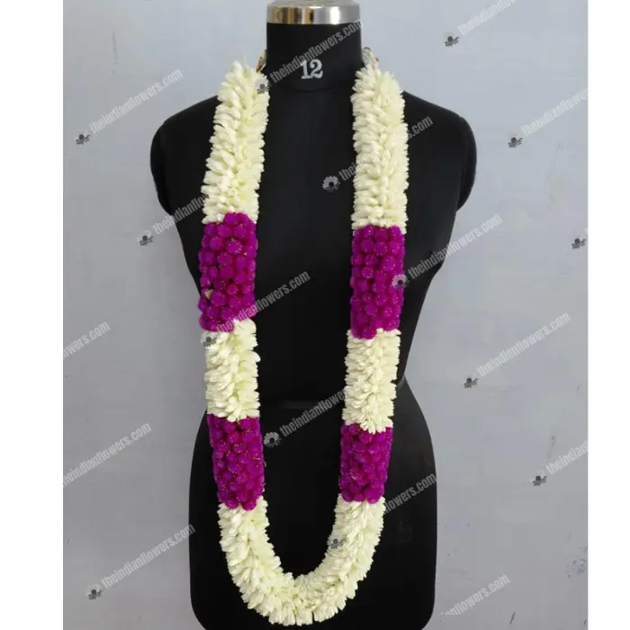 Lily Garland in Destin USA