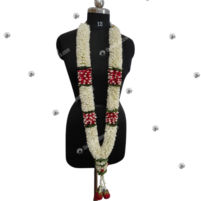 Untitled design - 2026-06-20T102853.559